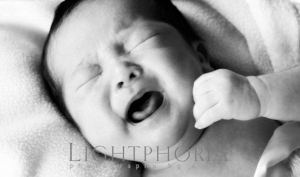 seattle baby photographer