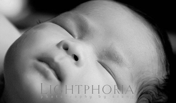 seattle baby photographer