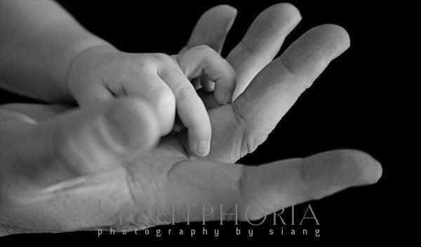 seattle baby photographer