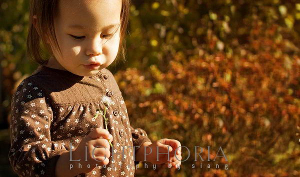 seattle kid photographer