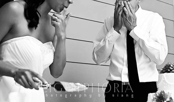 seattle wedding photography