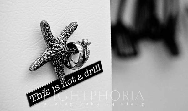 seattle wedding photography