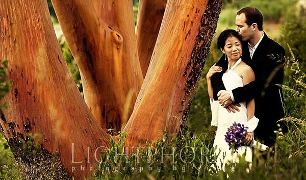 top seattle wedding photographer