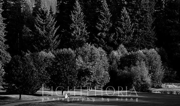 top seattle wedding photographer
